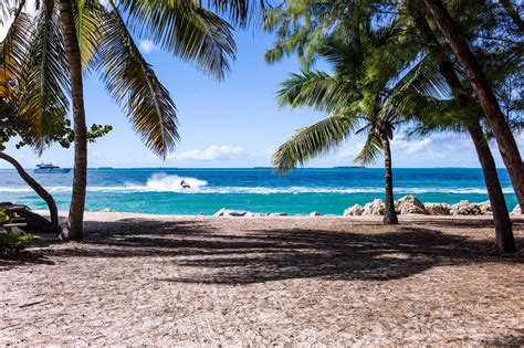 15 Nude Beaches In Florida To Be Free and Fun